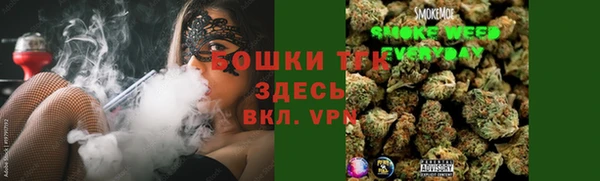 PSILOCYBIN Аркадак