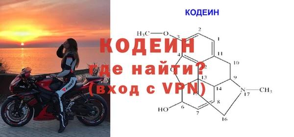 PSILOCYBIN Аркадак