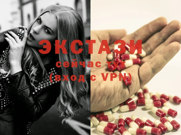 PSILOCYBIN Аркадак