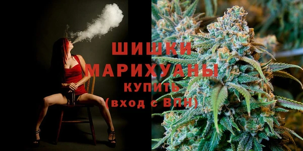 PSILOCYBIN Аркадак